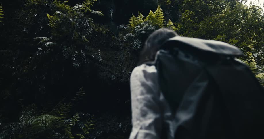 A female hiker with a backpack looks up in wonder at the lush, green foliage of a dense, tropical forest