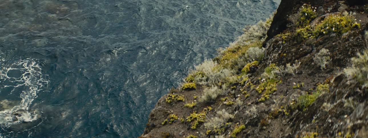 A scenic high-angle view shows the ocean water gently moving below a mossy cliff