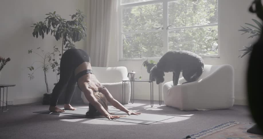 Woman practices yoga while a dog sits in a chair