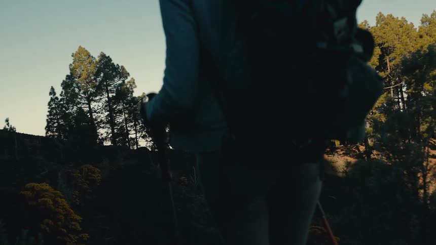 Cinematic slow-motion shot from behind a hiker with a backpack and poles walking along a mountain trail through a pine forest at sunrise