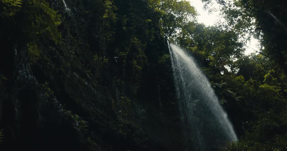 A serene waterfall cascades down a moss-covered cliff in a dark, lush tropical rainforest