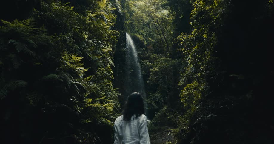 A slow camera tilt down reveals a woman standing on rocks and admiring a majestic waterfall in a lush, dark green rainforest