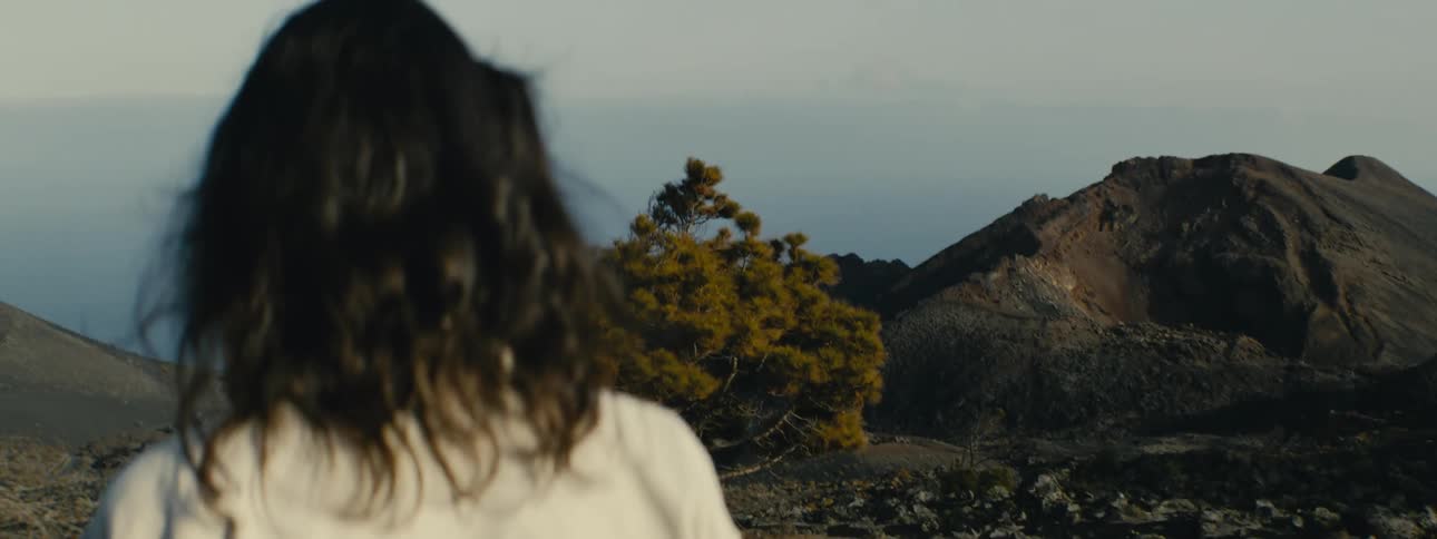 From over the shoulder, a woman with dark hair looks out at a stunning volcanic mountain landscape with a lone pine tree and the distant ocean