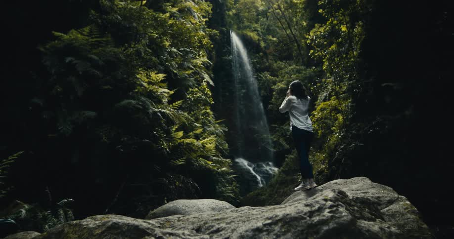 A woman stands on a rock in a lush green forest, taking a photograph of a scenic waterfall