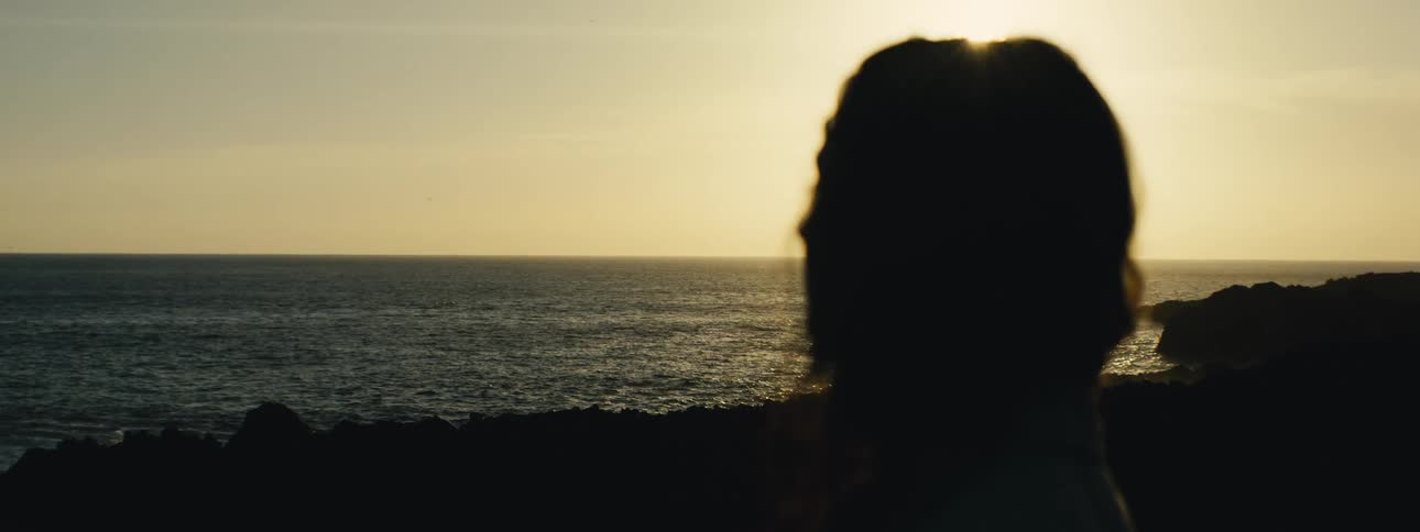 A silhouetted person gazes at the tranquil ocean as the sun sets, casting a warm golden light across the water