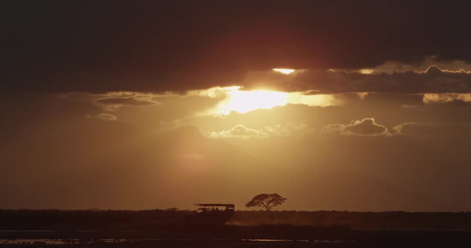 Vehicle driving across the savanna at sunset
