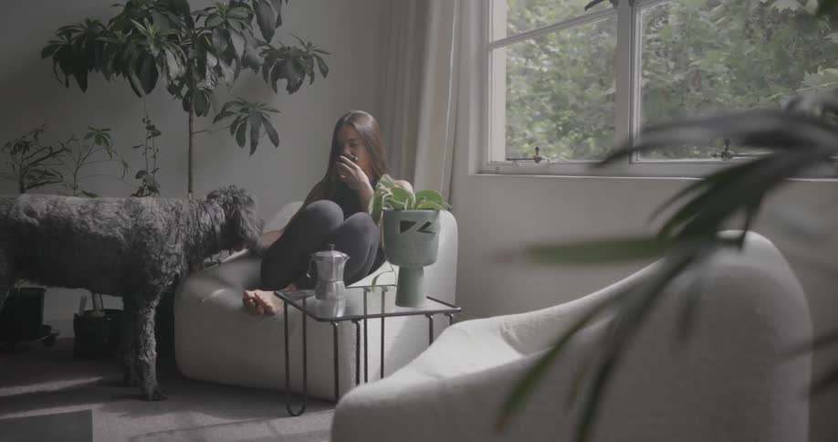 A dog walks over to a woman sitting in a living room chair
