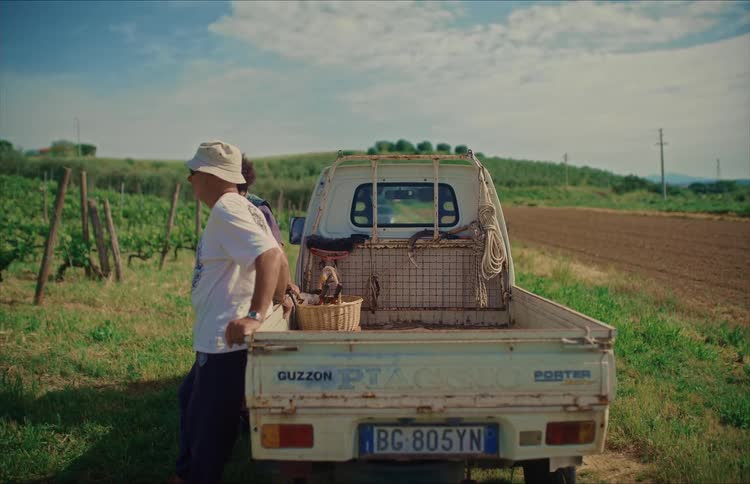 A farming couple rests against their old pickup truck, surveying the vineyard and fields in the Italian countryside
