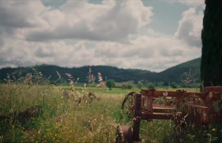 An old rusty plow sits abandoned in a field of tall grass swaying gently in the wind on a cloudy day