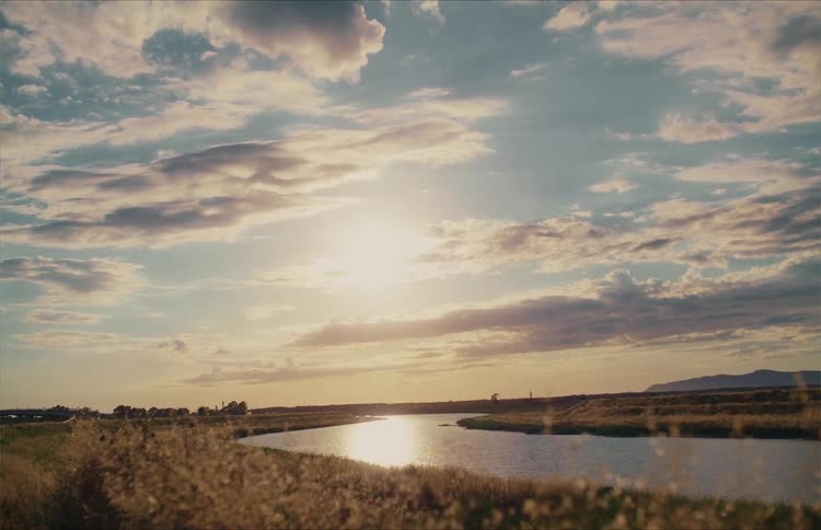 A tranquil cinemagraph of golden reeds swaying by a serene river at sunset under a beautiful cloudy sky