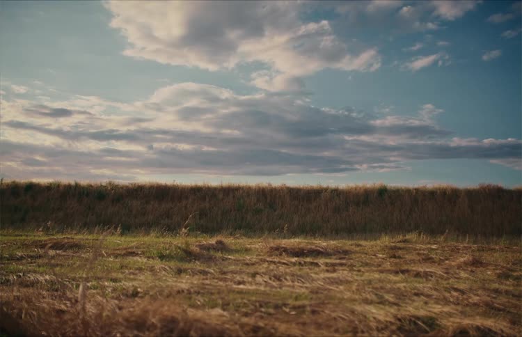 A beautiful cinemagraph shows clouds drifting peacefully over a serene golden field