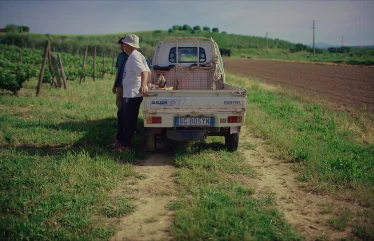 Two Italian farmers stand by their small truck talking while taking a break from working in the vineyard