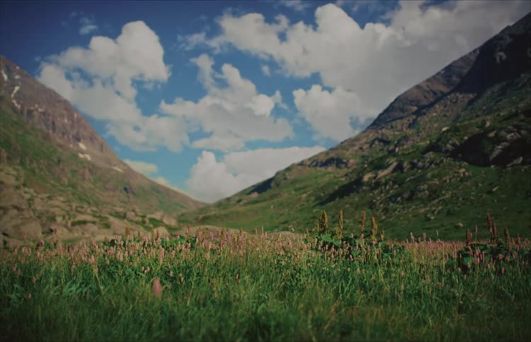 Lush green grass and wildflowers blanket the floor of a serene mountain valley under a partly cloudy sky