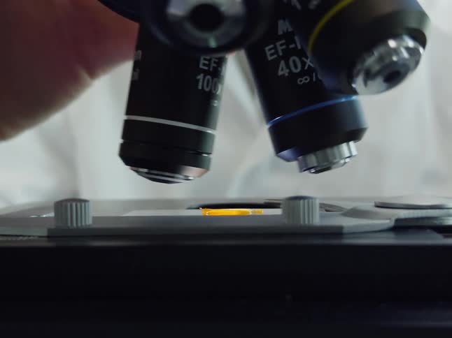 A lab worker adjusts the magnification on a microscope by rotating the objective lens turret over a specimen