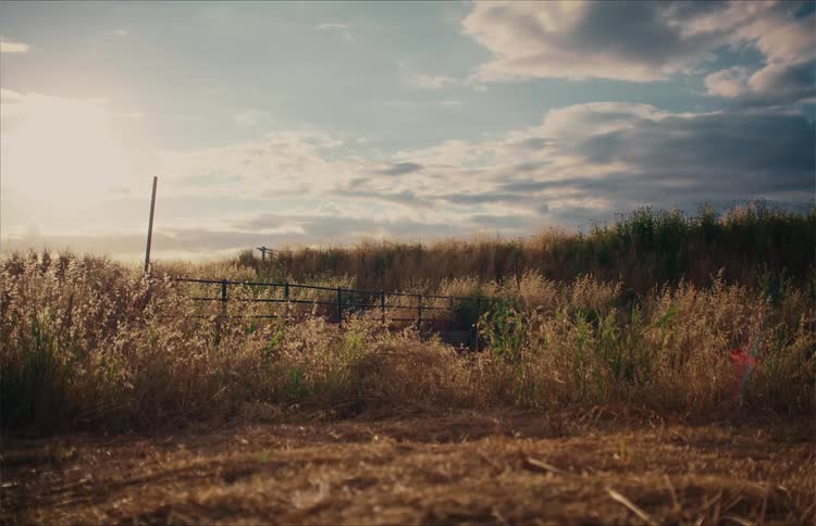 A serene, static shot of a golden-hour sun setting over a rural field with tall, dry grass swaying in the gentle breeze