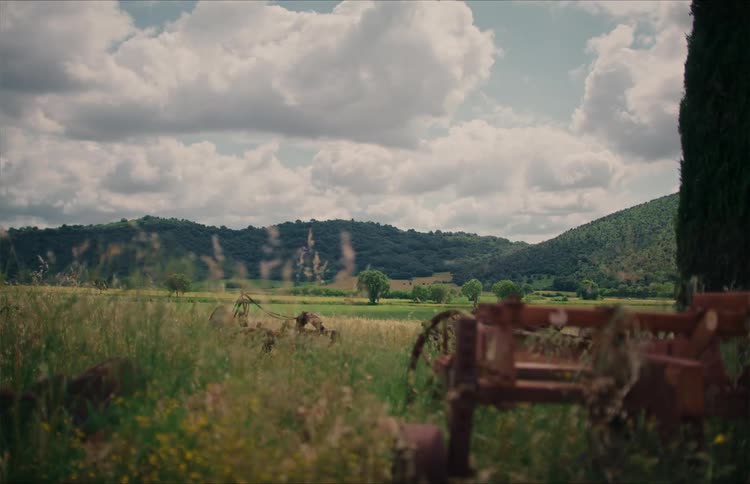 A serene, static view of a rural countryside with rolling green hills under a cloudy sky, seen past a field of swaying grass and old farm equipment