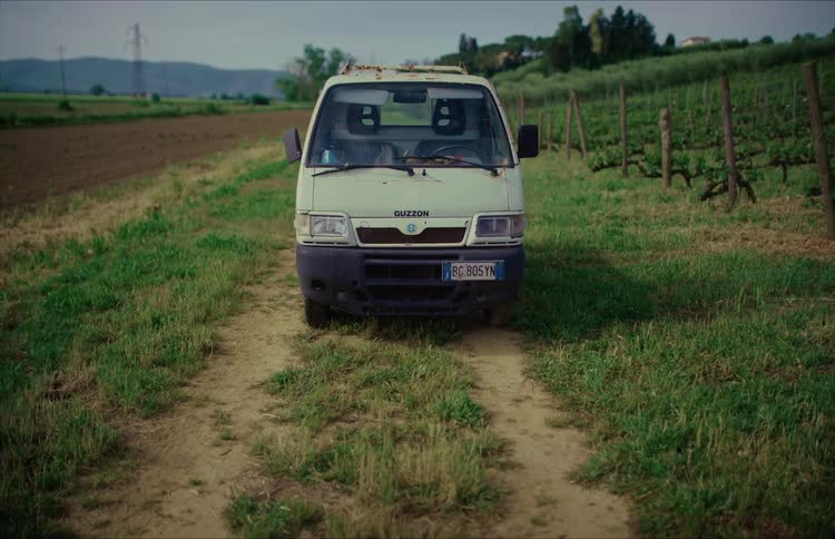 A weathered white pickup truck is parked on a dirt path next to a lush green vineyard in the countryside