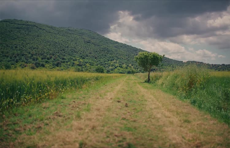 A scenic landscape view of a dirt path through a vibrant green field leading to a lush mountain under a dramatic, cloudy sky