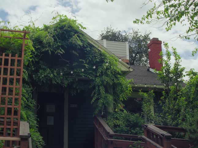 Lush green vines and foliage completely cover the porch and roof of a charming neighborhood house