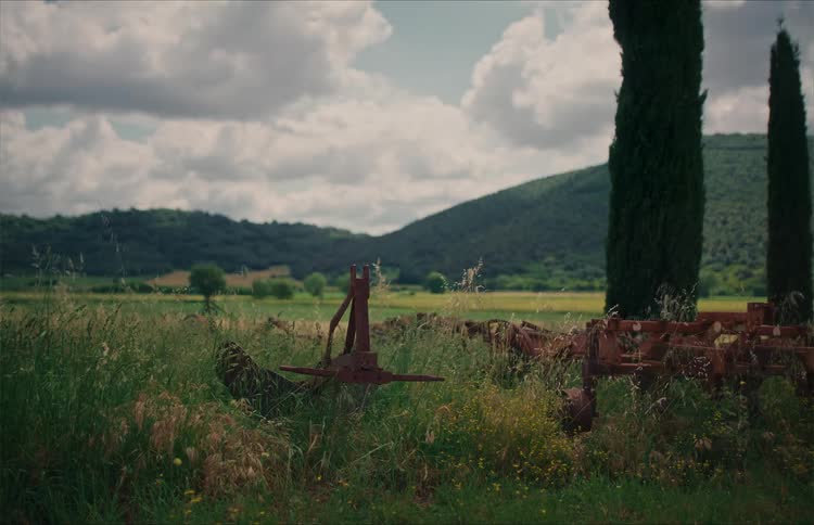 Old rusty farm equipment rests abandoned in a field of tall grass with rolling hills and cypress trees in the background