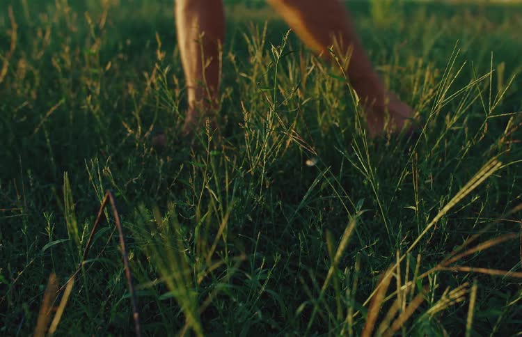 A person walks barefoot through a grassy field in slow motion, gently touching the blades of grass in the warm golden hour light