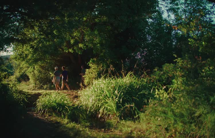 A group of friends hike along a dirt trail through a lush green forest at golden hour