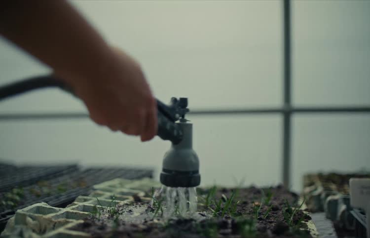A gardener's hand gently waters tiny new plant sprouts in a biodegradable seed starter tray inside a greenhouse