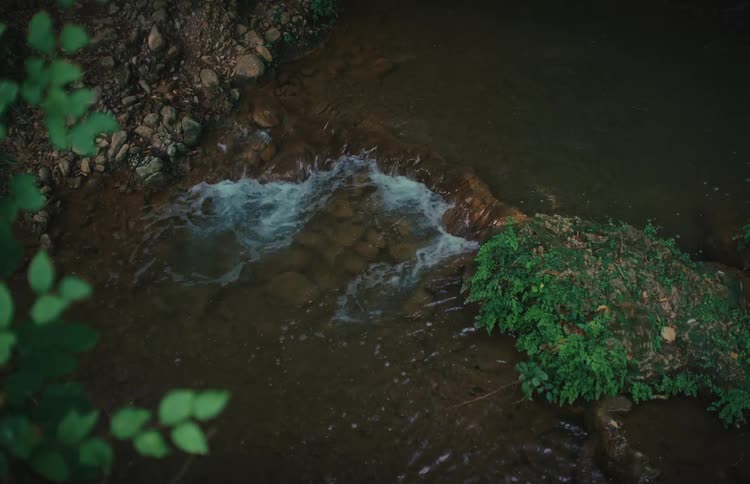 A tranquil top-down view captures a gentle stream flowing over rocks, surrounded by lush green foliage in a peaceful forest