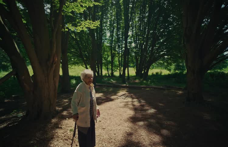 An elderly woman with a walking stick stands in a shady forest clearing on a sunny day
