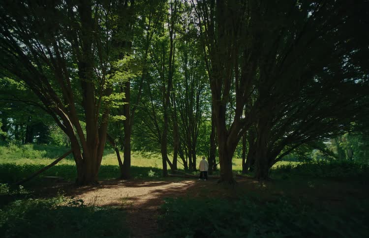 A lone figure walks through a tranquil, sun-dappled forest and into a bright clearing