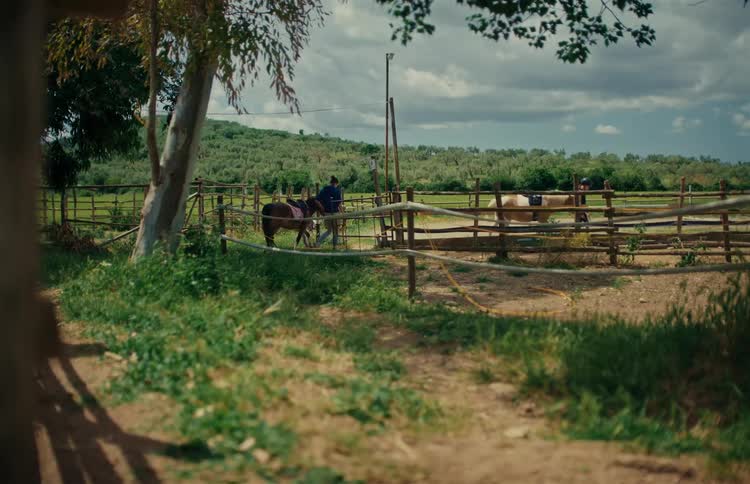 People prepare ponies for riding in a rustic paddock on a rural farm