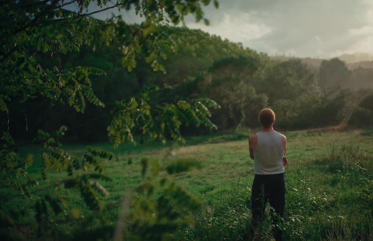 Cinemagraph of a solitary person standing from behind in a lush green meadow, peacefully observing the misty landscape at dawn