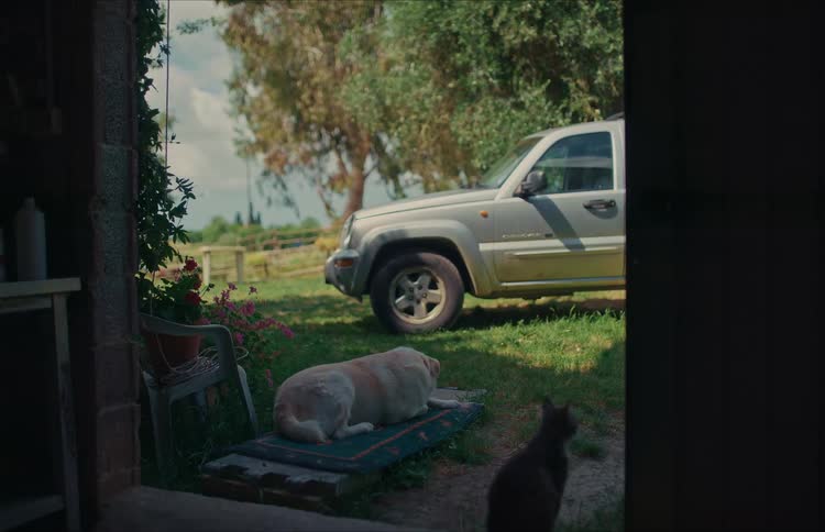 A white dog sits and lays down on a mat outside a farmhouse door, while a small cat sits nearby in the shade