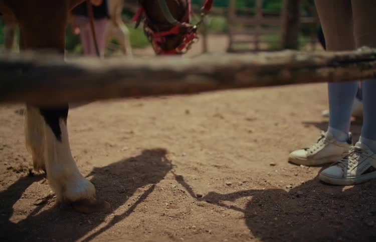 A close-up of a horse's hooves and a person's sneakers standing on the sandy ground of a riding school
