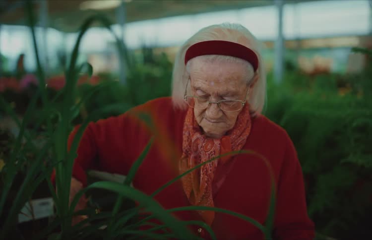 An elegant elderly woman in a red cardigan carefully examines potted green plants in a nursery
