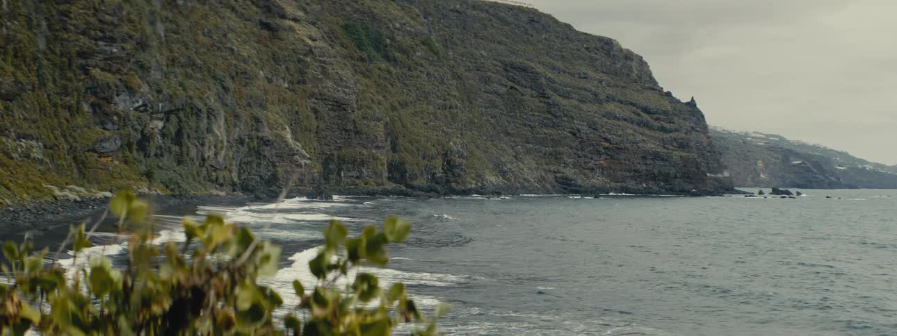 A rugged, green-covered cliffside meets the gentle ocean waves on a moody, overcast day