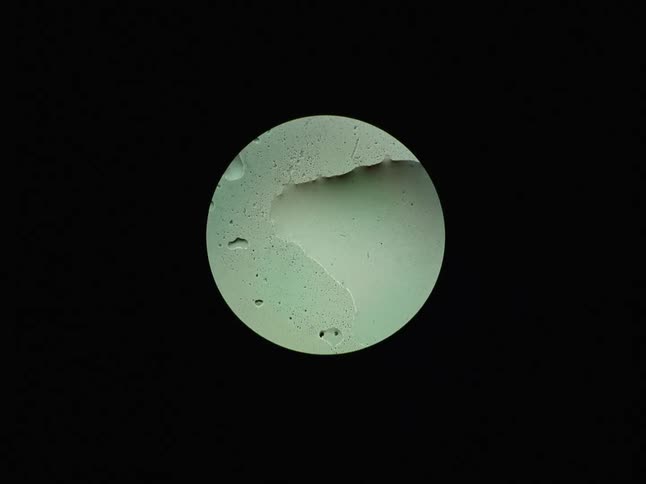 A microscopic view of microorganisms and bacteria moving on a slide under a laboratory light