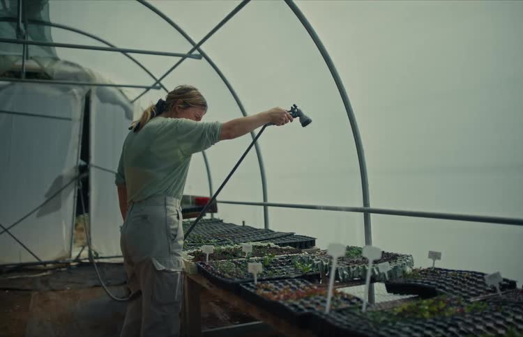 A woman gently waters trays of young seedlings with a spray hose inside a plant nursery greenhouse