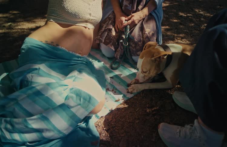 A group enjoys a sunny picnic in the park, with a pregnant woman relaxing on a blanket while her dog licks up a treat