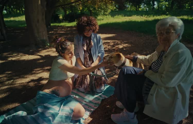 Three women of different ages, including a pregnant woman, smile and pet a friendly dog while relaxing in a park on a sunny day
