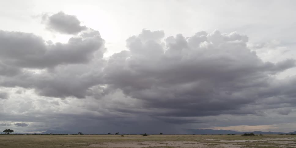 Clouds floating over the savanna