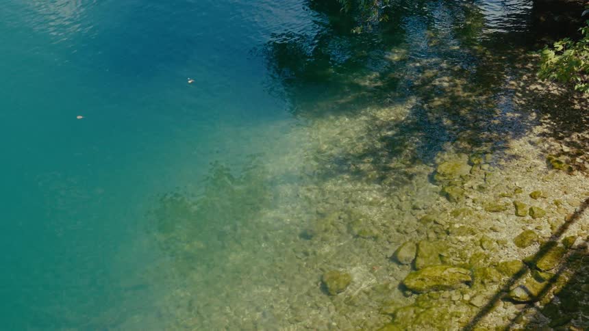 Small fish swim in the clear, shallow turquoise water of a river next to a rocky bank on a sunny day