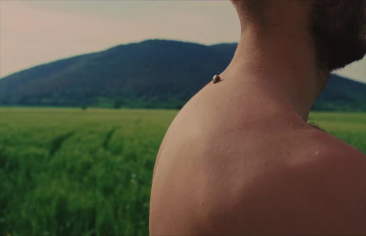 A person's hand gently places a snail on a man's bare shoulder, and it slowly crawls across his skin in a peaceful green meadow