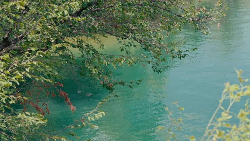 A tranquil view from the shore of ducks swimming in a beautiful turquoise lake on a sunny day