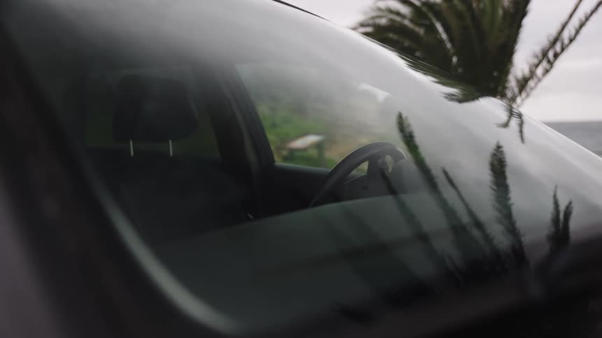 A palm tree is reflected on the windshield of a car parked by the sea on an overcast day