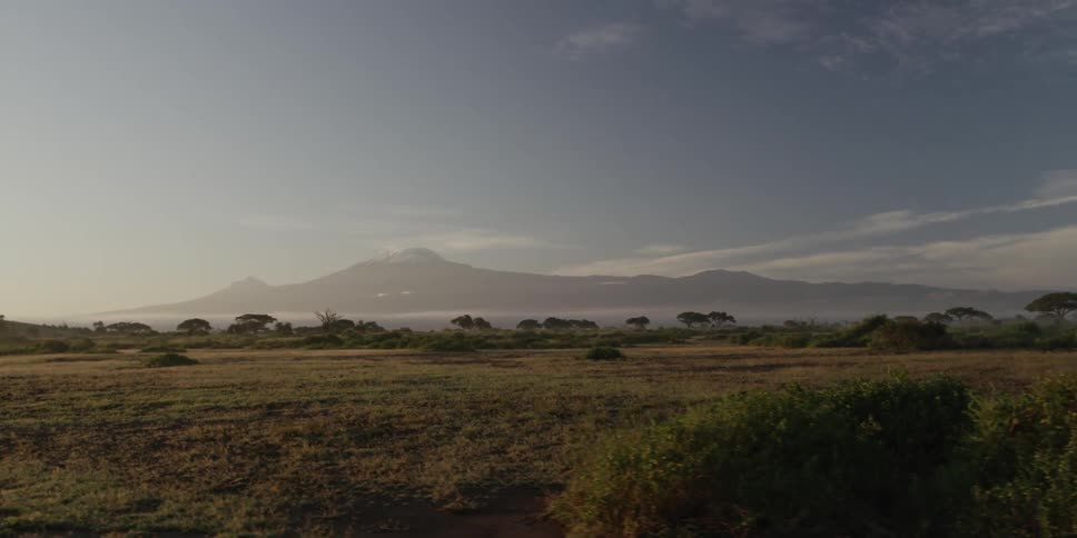 A vast plain with few trees in front of a distant mountain at sunset