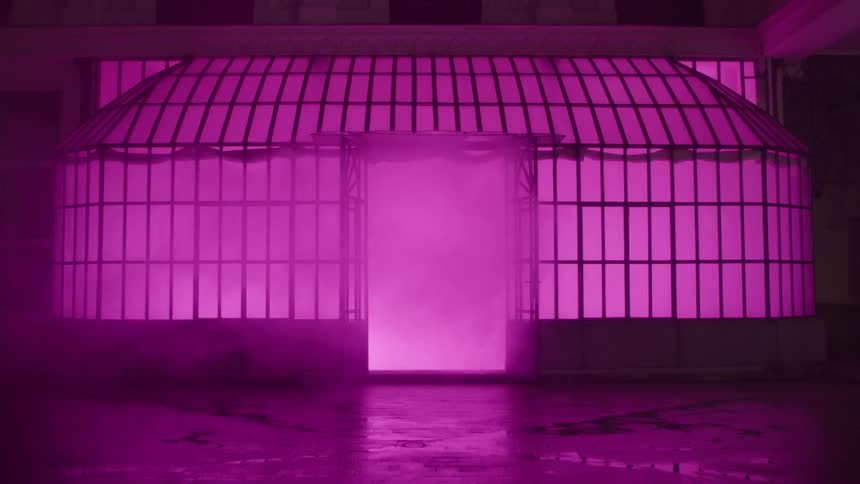 Mist emerges from a building that is glowing pink at night