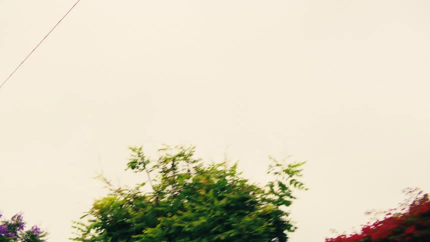 A nostalgic, low-angle drive-by view of urban storefronts, billboards, and power lines against a warm, overcast sky