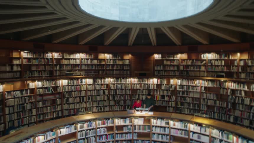 Two people discuss something in a library