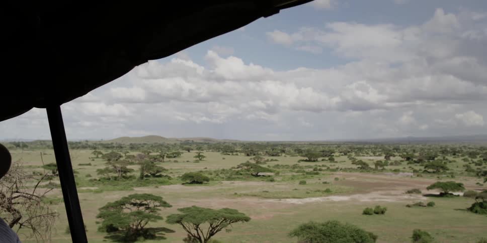 Vehicle driving on the savanna